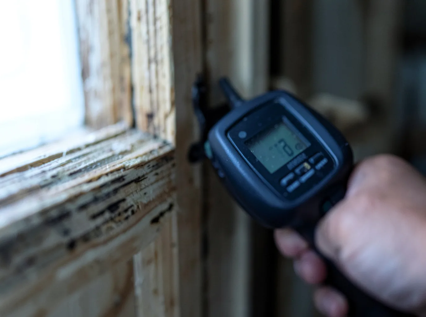 Moisture Inspection And Documentation in Beaverdam, OH